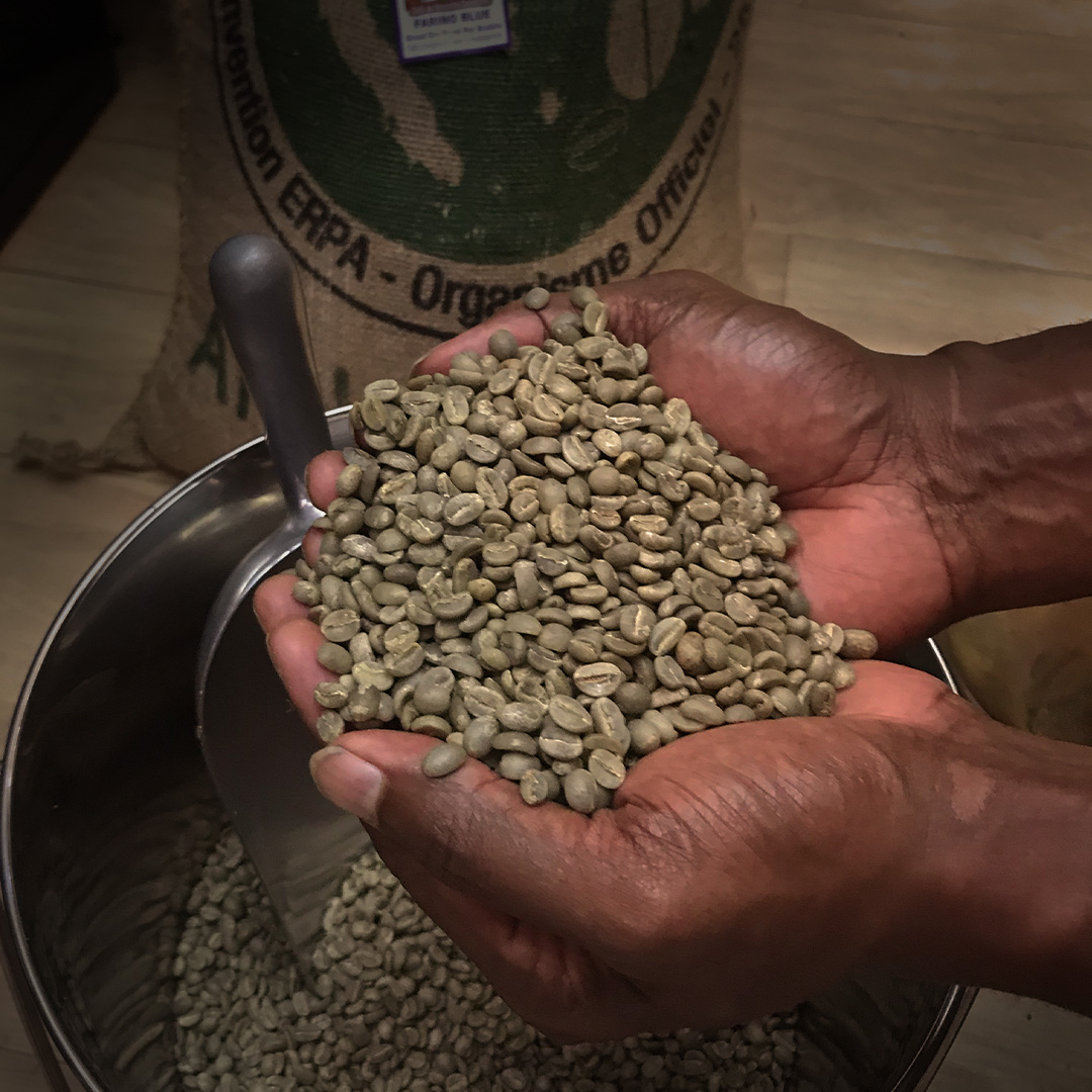 Malongo NC - Nouvelle-Calédonie - Grains de café verts