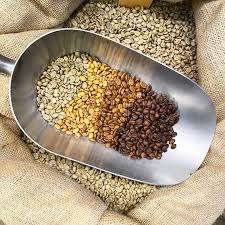 Malongo NC - Nouvelle-Calédonie - Couleurs de grains de café à différents stade de torréfaction